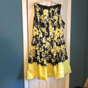 Fit and Flare Summer Dress